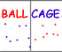 Ball Cage